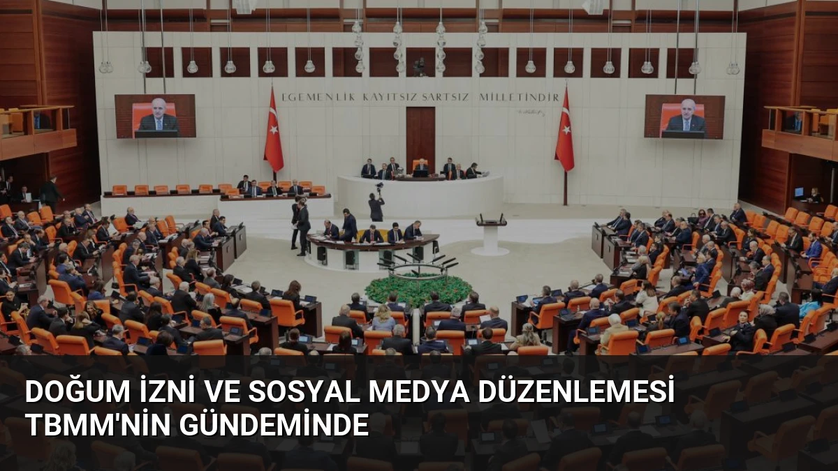Doğum izni ve sosyal medya düzenlemesi TBMM’nin gündeminde