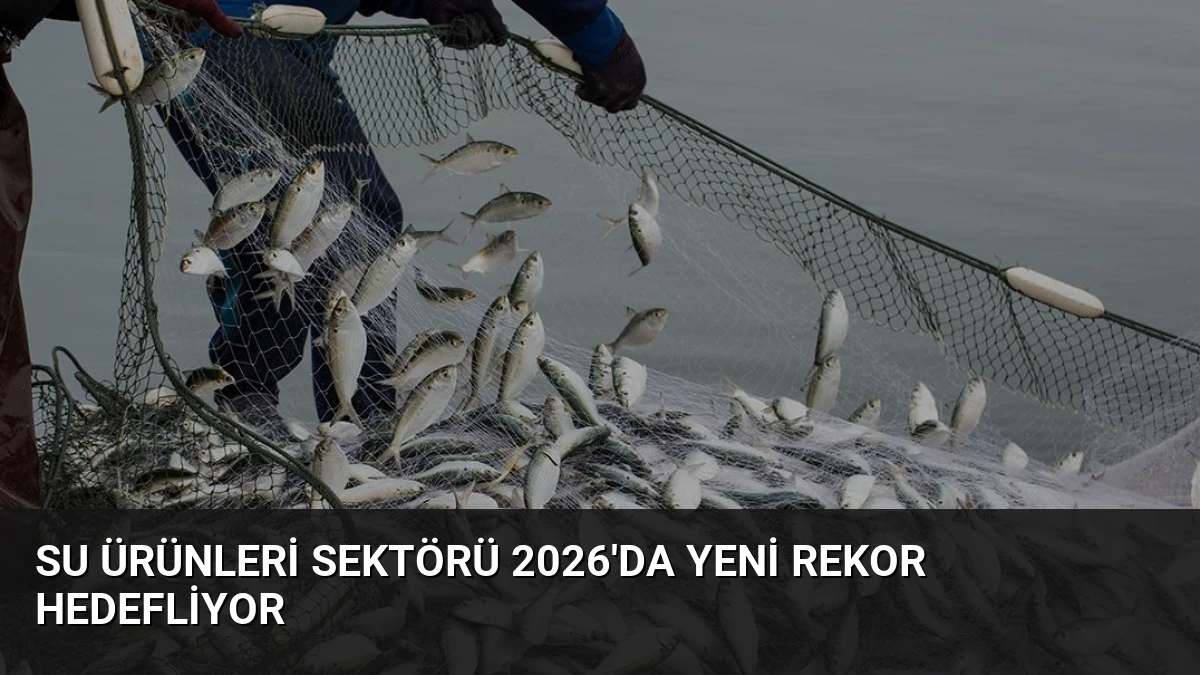 Su Ürünleri Sektörü 2026’da Yeni Rekor Hedefliyor