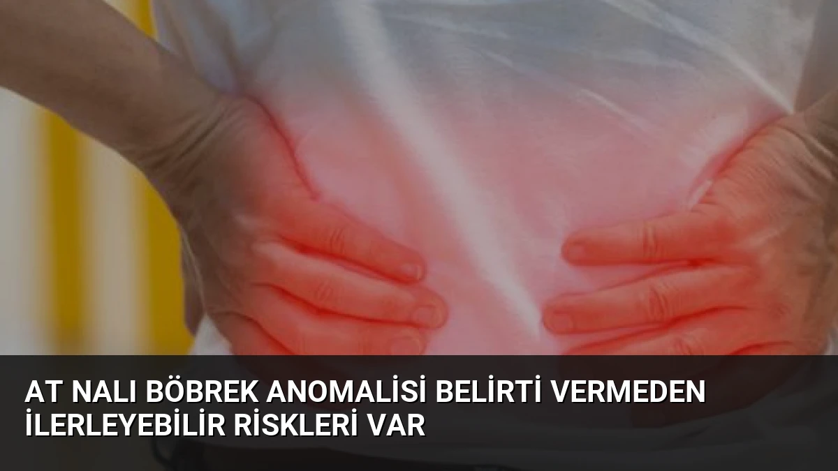 At Nalı Böbrek Anomalisi Belirti Vermeden İlerleyebilir Riskleri Var