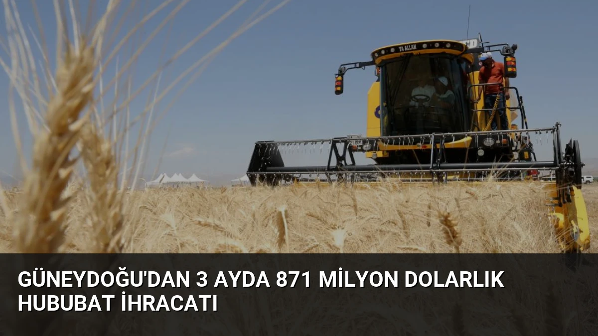 Güneydoğu’dan 3 Ayda 871 Milyon Dolarlık Hububat İhracatı