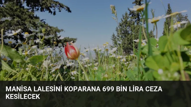 Manisa Lalesini Koparana 699 Bin Lira Ceza Kesilecek