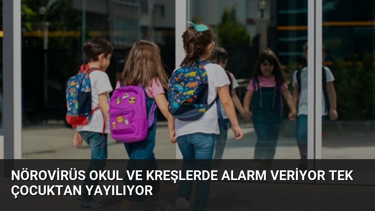 Nörovirüs Okul ve Kreşlerde Alarm Veriyor Tek Çocuktan Yayılıyor