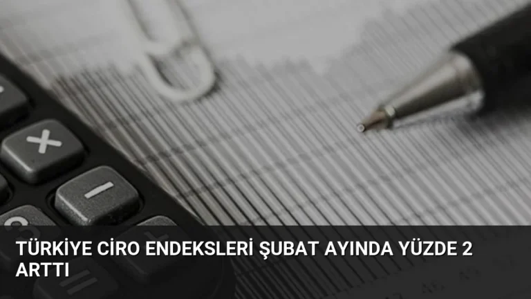 Türkiye Ciro Endeksleri Şubat Ayında Yüzde 2 Arttı