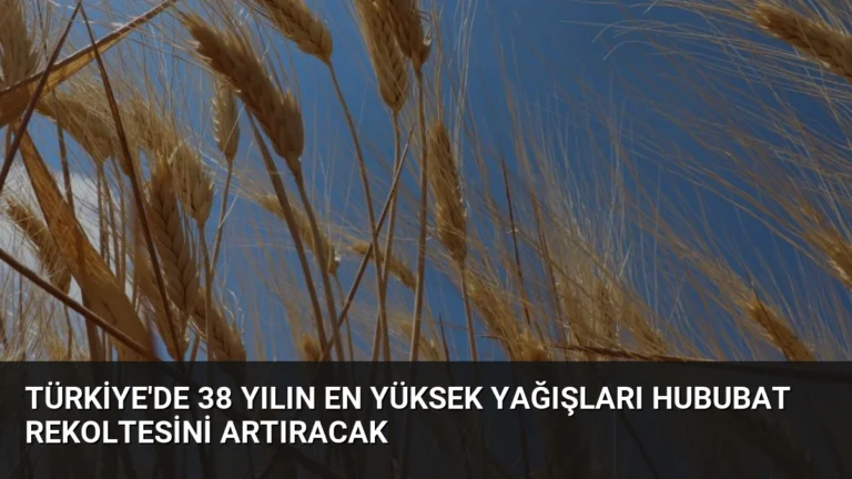 Türkiye’de 38 Yılın En Yüksek Yağışları Hububat Rekoltesini Artıracak