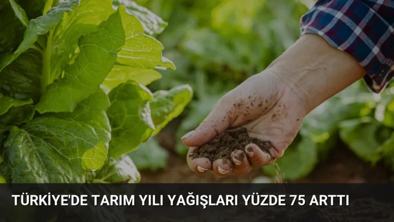 Türkiye’de Tarım Yılı Yağışları Yüzde 75 Arttı