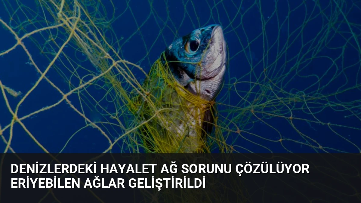 Denizlerdeki Hayalet Ağ Sorunu Çözülüyor Eriyebilen Ağlar Geliştirildi