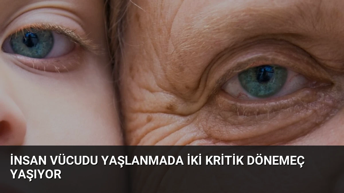 İnsan Vücudu Yaşlanmada İki Kritik Dönemeç Yaşıyor