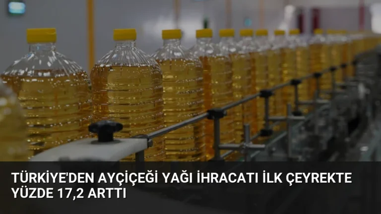 Türkiye’den Ayçiçeği Yağı İhracatı İlk Çeyrekte Yüzde 17,2 Arttı