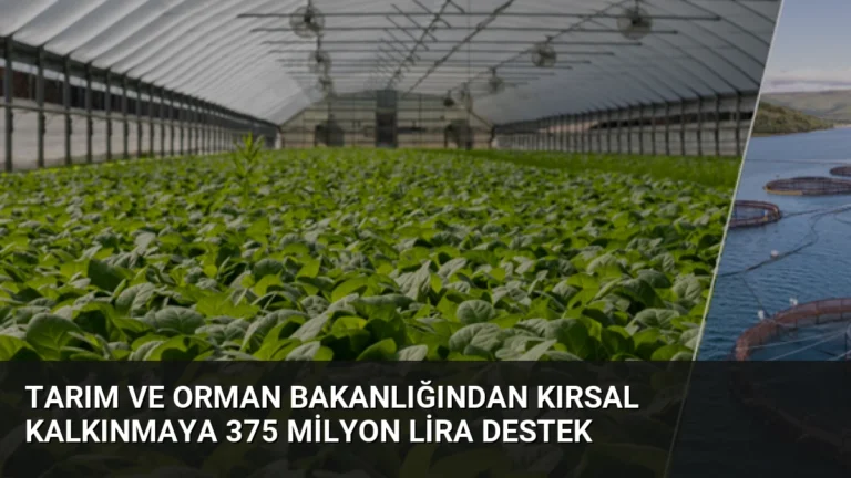 Tarım ve Orman Bakanlığından Kırsal Kalkınmaya 375 Milyon Lira Destek