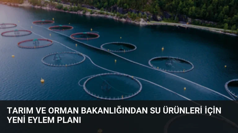 Tarım ve Orman Bakanlığından Su Ürünleri İçin Yeni Eylem Planı