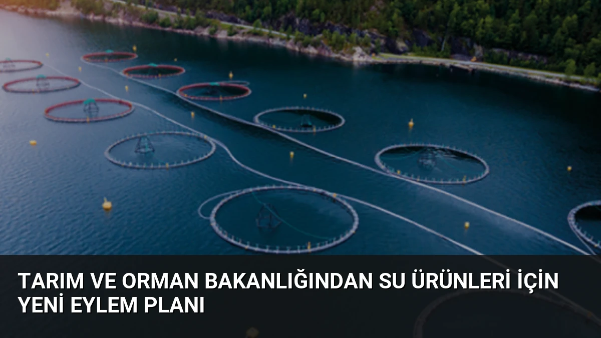 Tarım ve Orman Bakanlığından Su Ürünleri İçin Yeni Eylem Planı