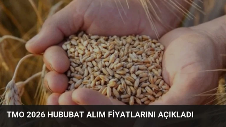 TMO 2026 Hububat Alım Fiyatlarını Açıkladı