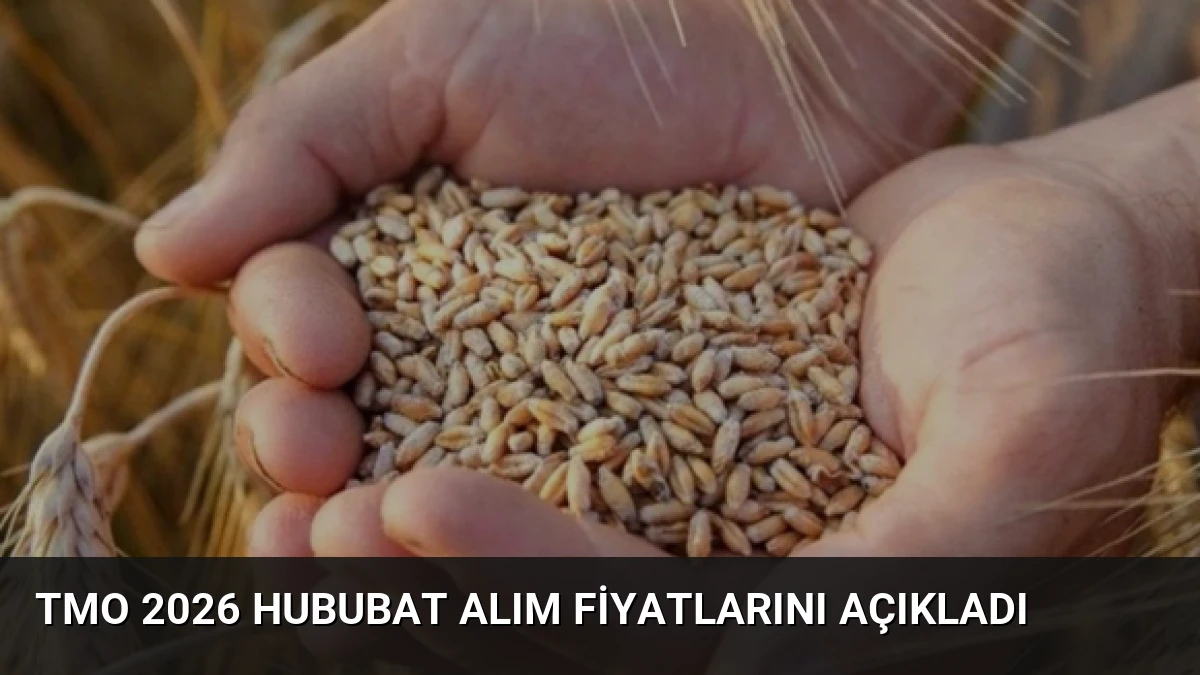 TMO 2026 Hububat Alım Fiyatlarını Açıkladı