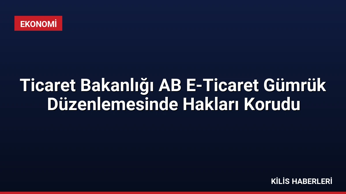 Ticaret Bakanlığı AB E-Ticaret Gümrük Düzenlemesinde Hakları Korudu