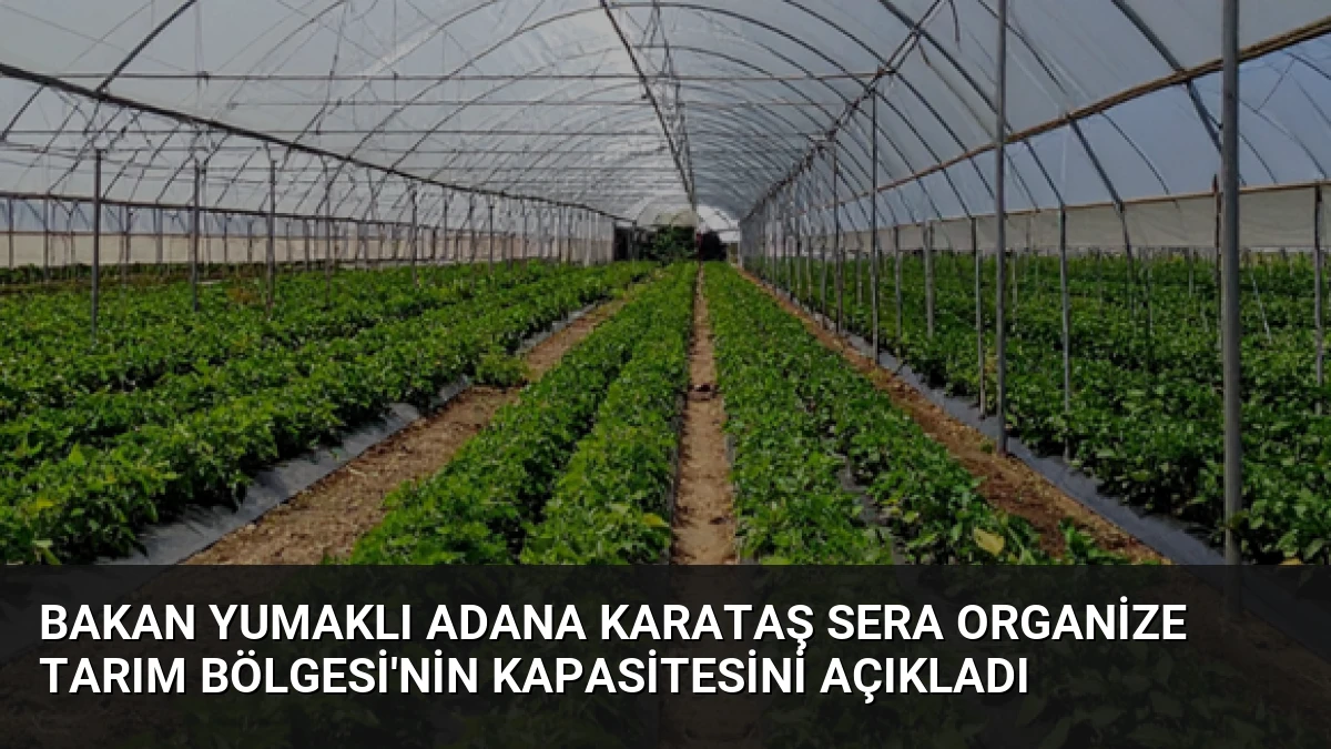 Bakan Yumaklı Adana Karataş Sera Organize Tarım Bölgesi’nin Kapasitesini Açıkladı
