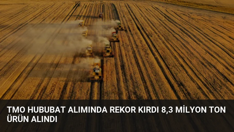 TMO Hububat Alımında Rekor Kırdı 8,3 Milyon Ton Ürün Alındı