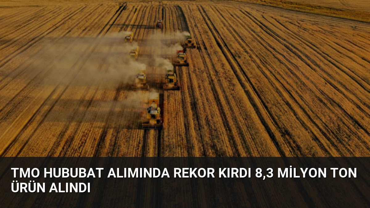 TMO Hububat Alımında Rekor Kırdı 8,3 Milyon Ton Ürün Alındı
