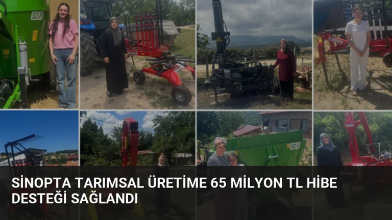 Sinopta Tarımsal Üretime 65 Milyon TL Hibe Desteği Sağlandı