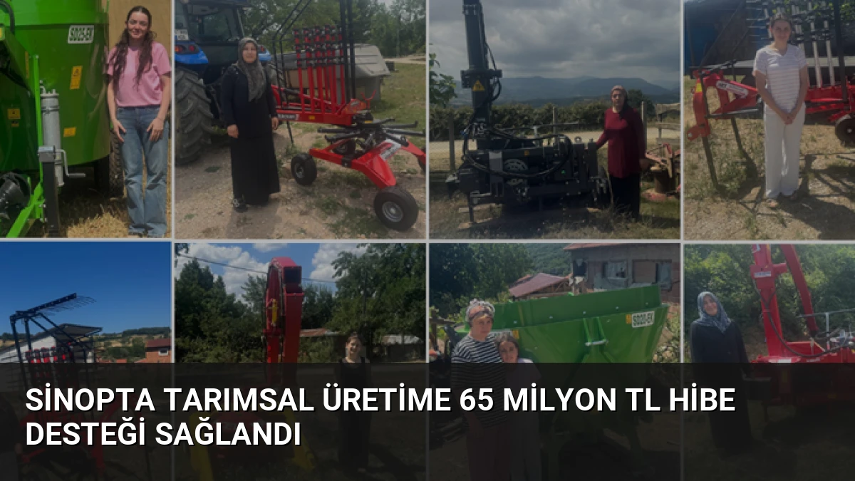 Sinopta Tarımsal Üretime 65 Milyon TL Hibe Desteği Sağlandı