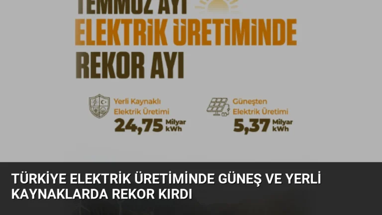 Türkiye Elektrik Üretiminde Güneş ve Yerli Kaynaklarda Rekor Kırdı
