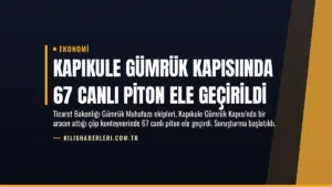 Kapıkule Gümrük Kapısıında 67 Canlı Piton Ele Geçirildi