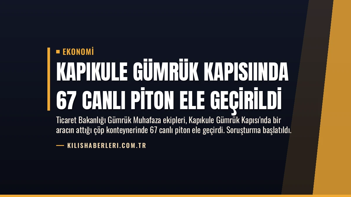 Kapıkule Gümrük Kapısıında 67 Canlı Piton Ele Geçirildi