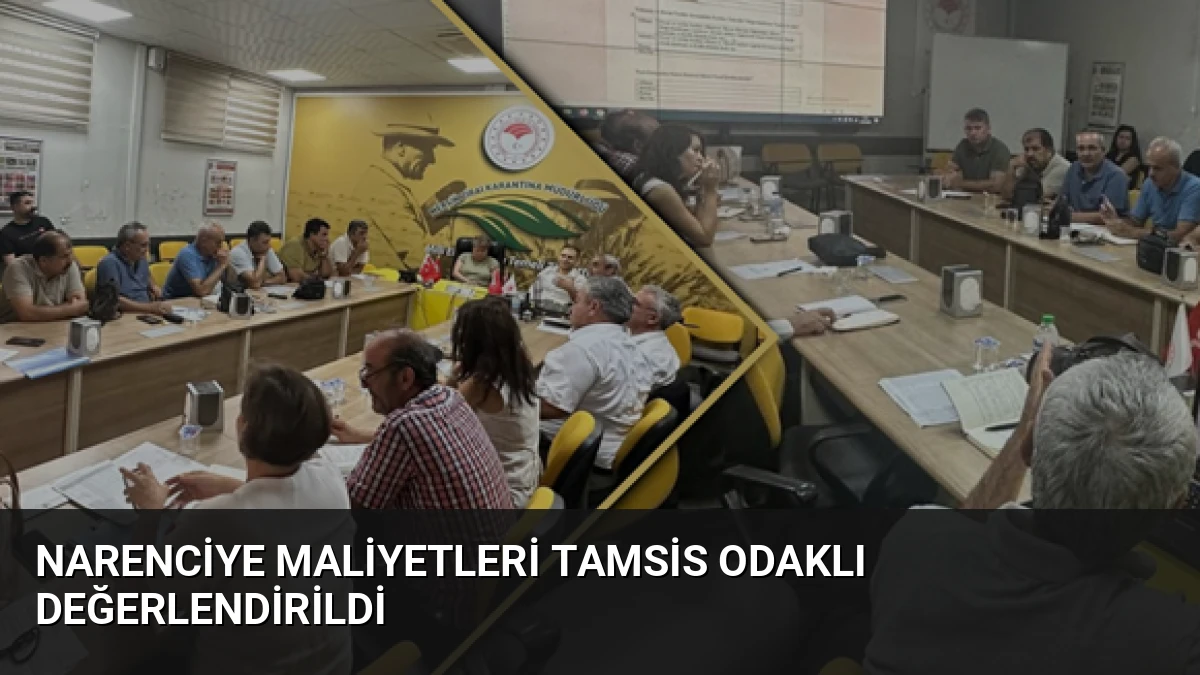 Narenciye Maliyetleri TAMSİS Odaklı Değerlendirildi