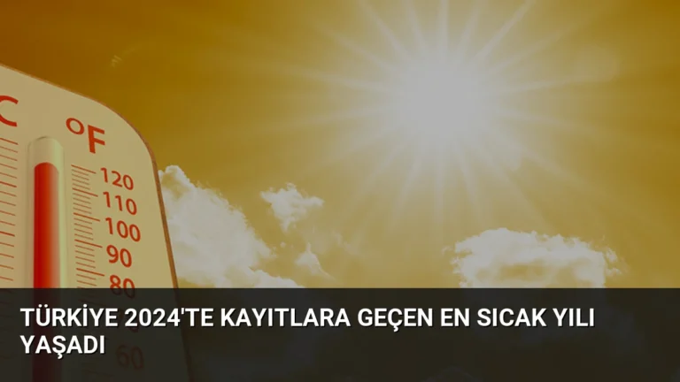 Türkiye 2024’te Kayıtlara Geçen En Sıcak Yılı Yaşadı